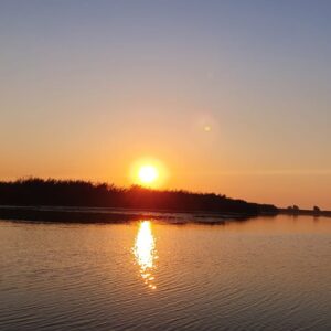 WhatsApp Image 2022-01-25 at 09.09.43 (2)